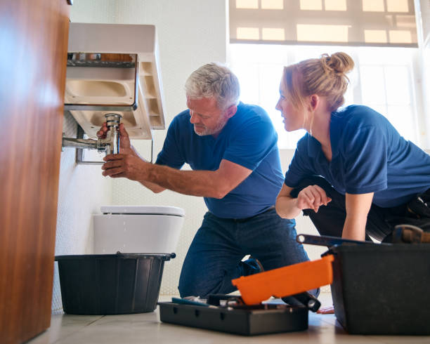Best Affordable Plumbing Services  in Velva, ND